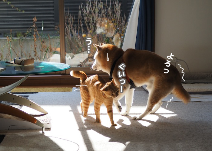 6日の夜ブログ４