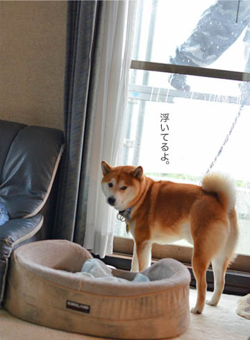 29日ブログ8.jpg