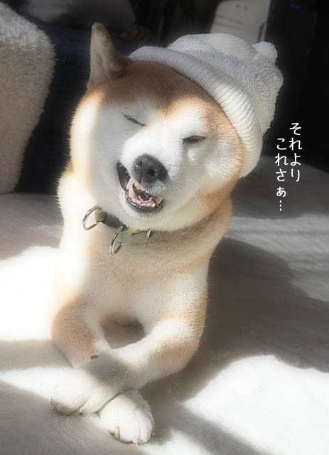 15日ブログ3