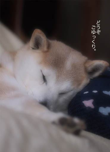 9日ブログ2.jpg