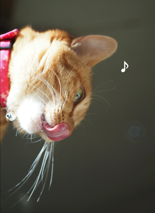 27日夕ブログ５