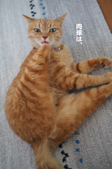 4日夕ブログ３