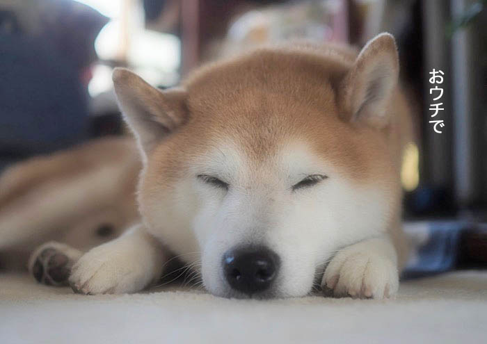 3日ブログ２