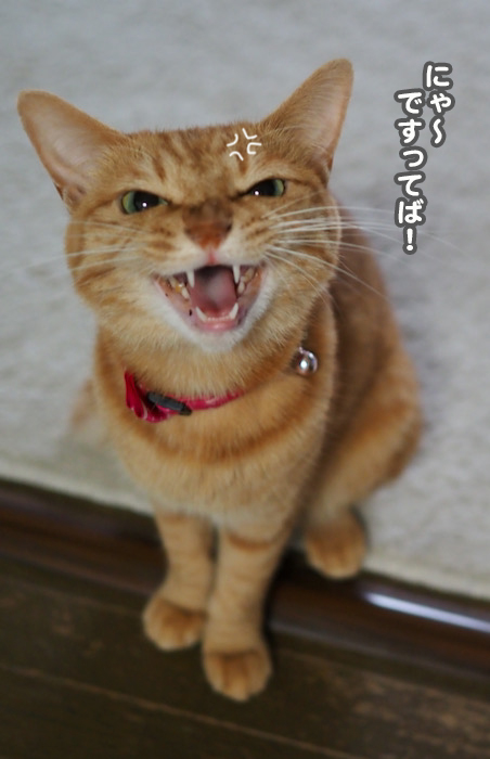 2日夕ブログ６