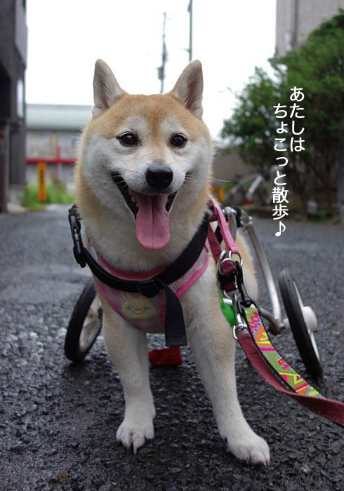 30日夜ブログ６