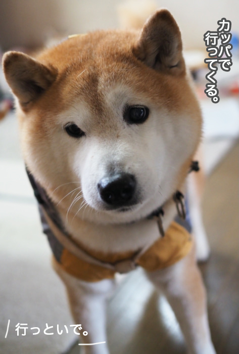 20日夜ブログ４
