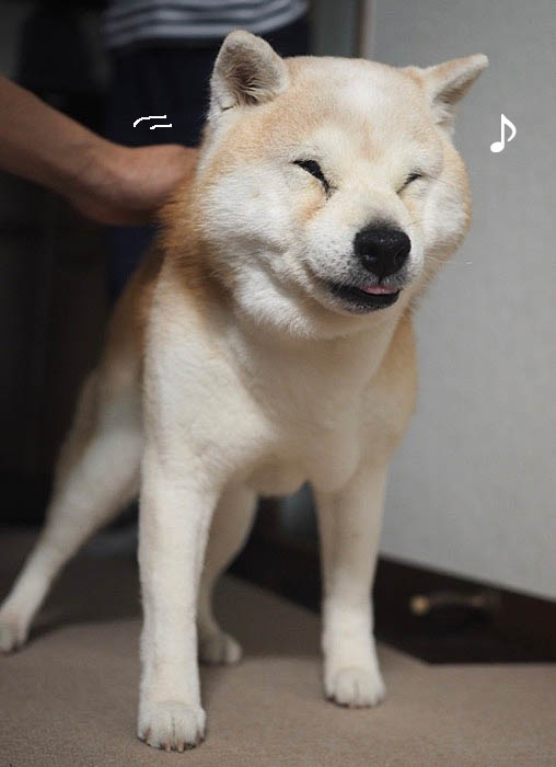 28日夜ブログ９
