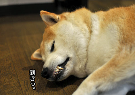5日ブログ８.jpg