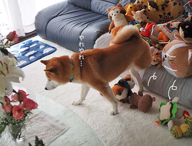 12日朝ブログ6