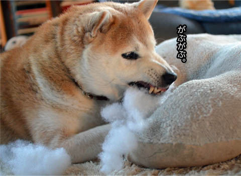 28日ブログ7.jpg