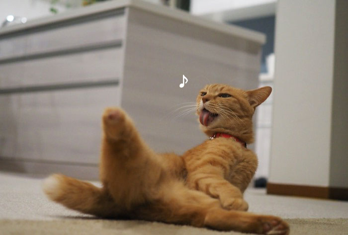7日夕ブログ３