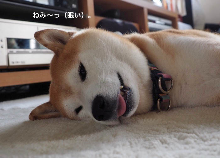 25日ブログ２