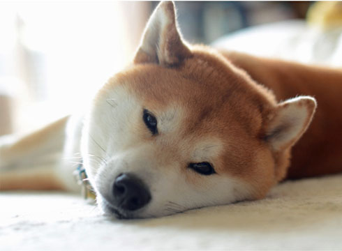 21日ブログ7.jpg