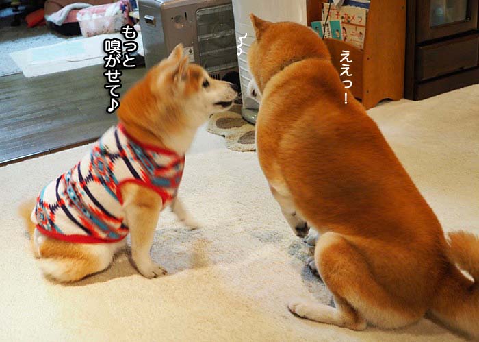28日ブログ６
