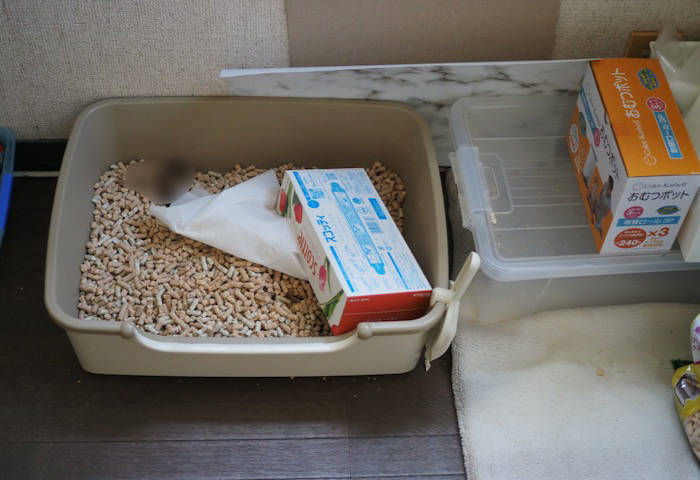 31日夕ブログ６
