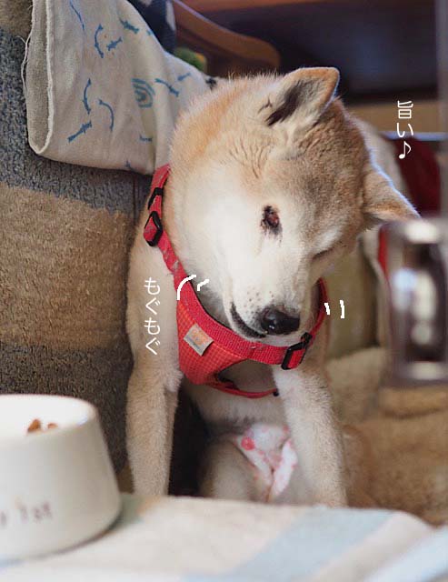 9日ブログ8