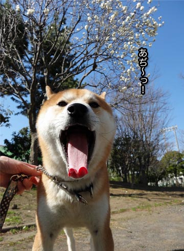 16日ブログ3.jpg