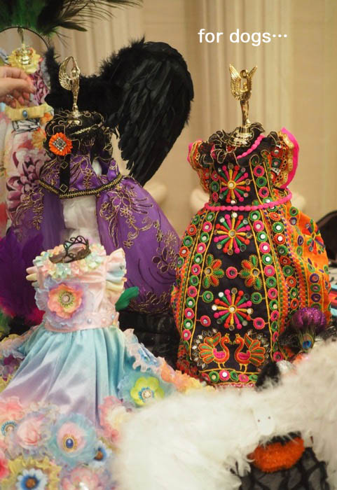 26日午後ブログ4