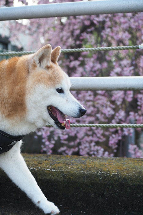 12日ブログ２
