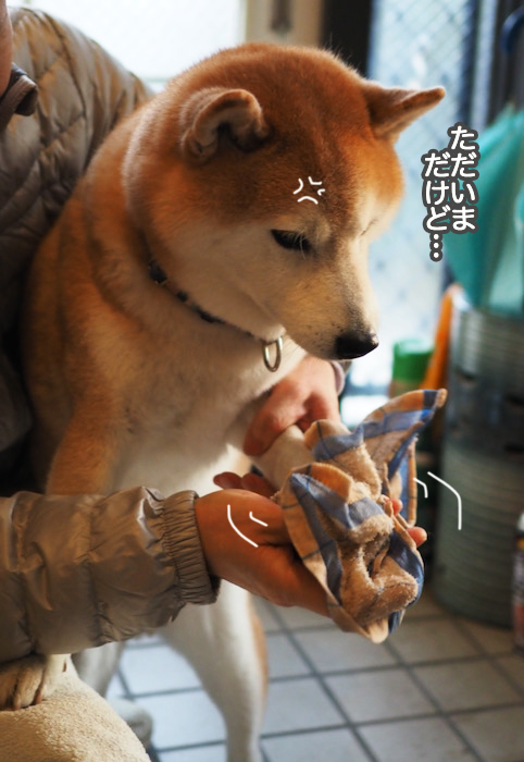 1日夜ブログ５