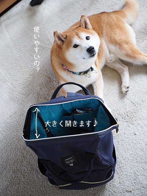 29日ブログ6