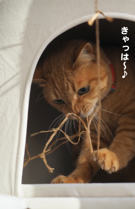 31日夕ブログ５
