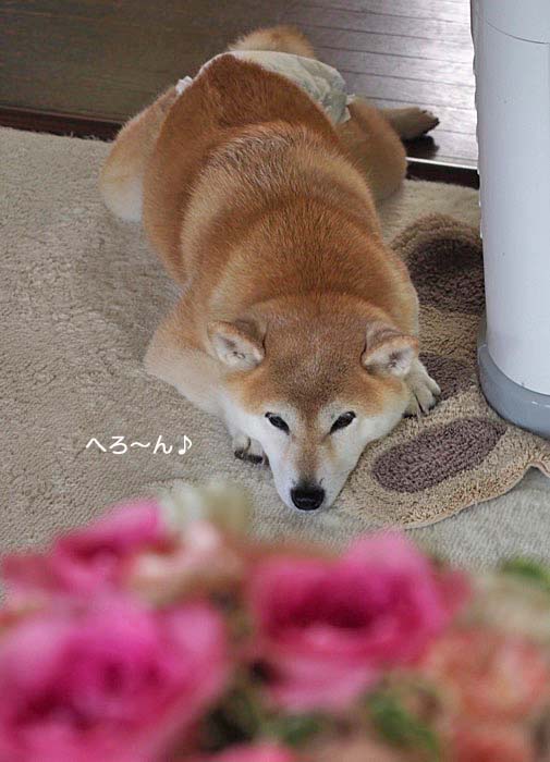 4日ブログ２