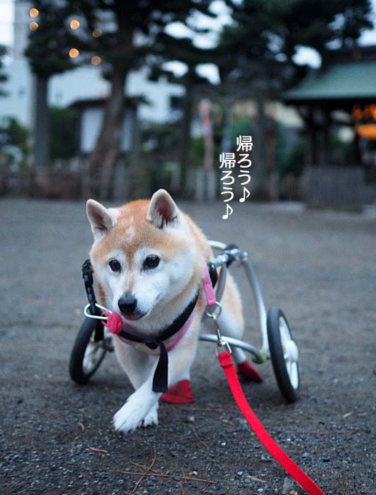 28日ブログ３
