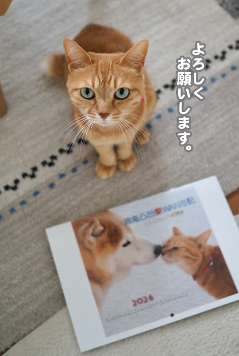 14日夕ブログ３