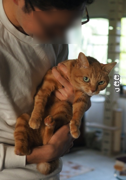 13日ブログ３