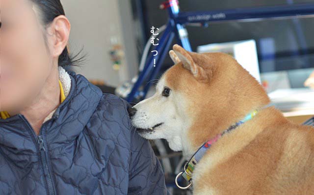 27日ブログ8