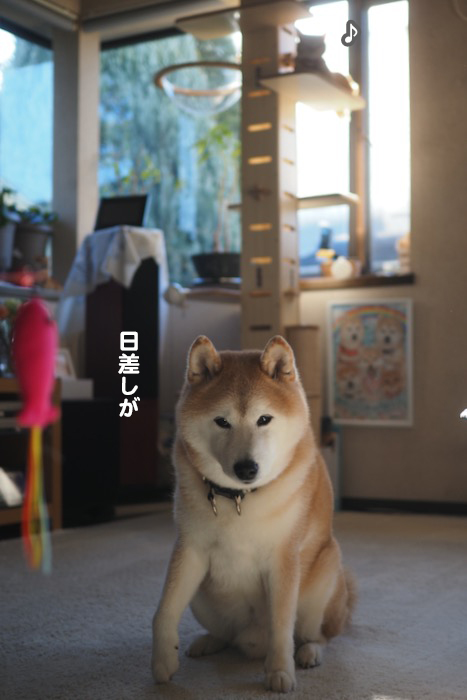 9日ブログ１