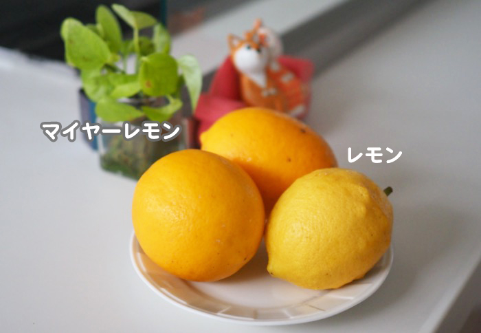 20日ブログ4