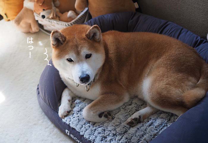13日ブログ4