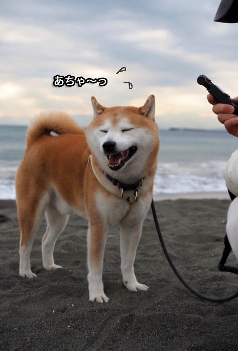 8日夜ブログ８