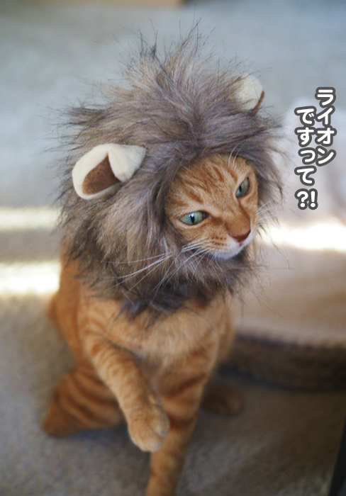 1日夕ブログ３