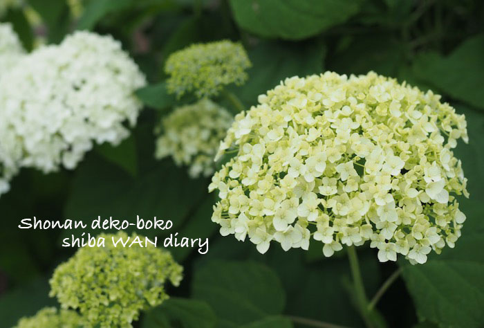 25日ブログ１