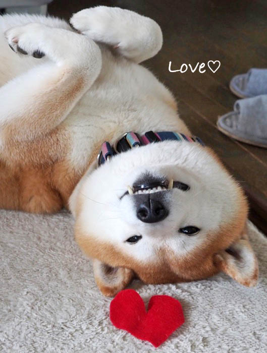 14日夜ブログ６
