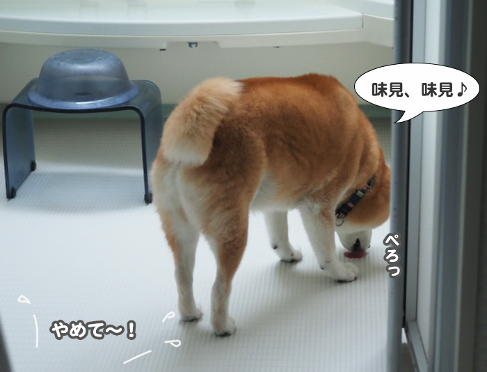 9日夕ブログ５