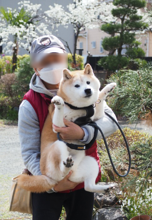 8日夕ブログ４