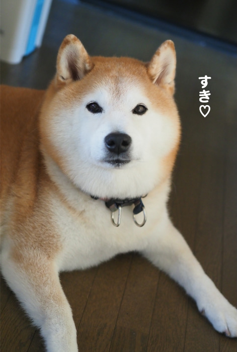 14日ブログ１