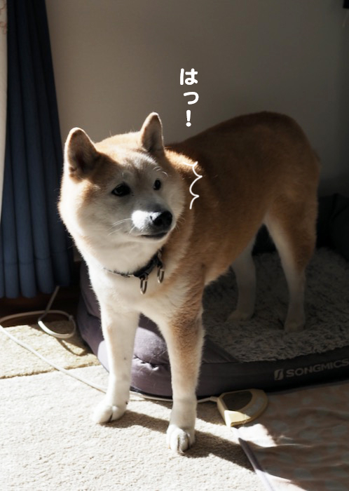 8日ブログ１