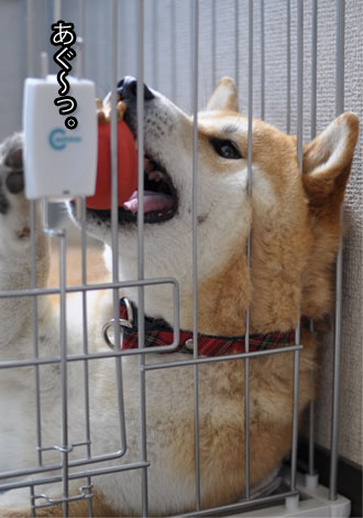 25日ブログ11.jpg