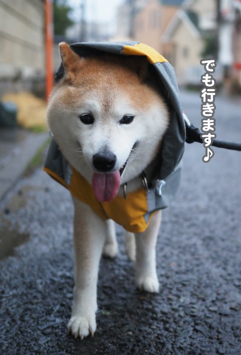24日夕ブログ３