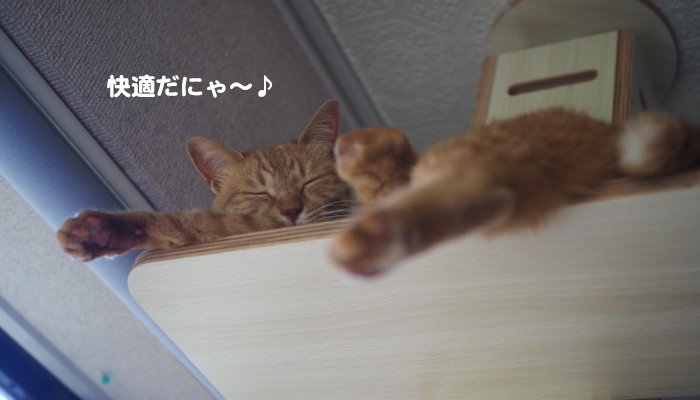 2日ブログ４