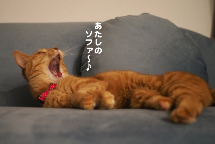 14日ブログ２