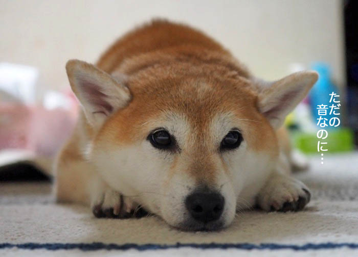 10日夜ブログ７