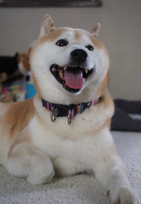 4日夜ブログ１