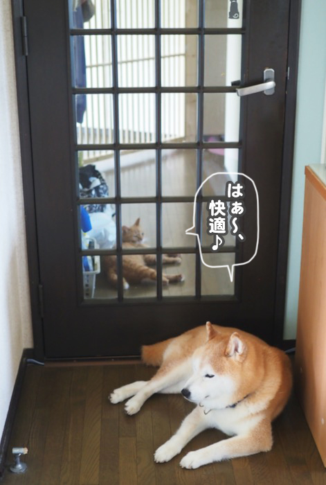 7日ブログ2