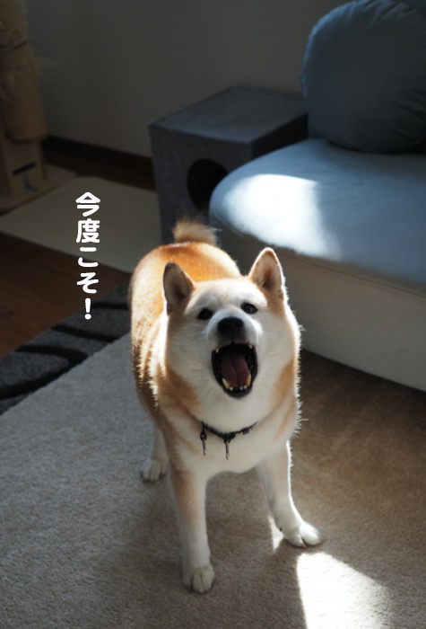 2日夕ブログ１０